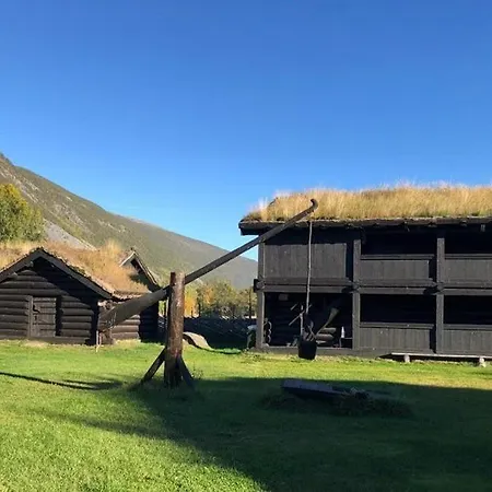 Gjestgiverier Jorundgard Vikingcamp